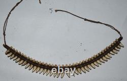 Unusual Papua New Guinea Flying Fox Teeth Necklace, Museum Marks 12 1900s