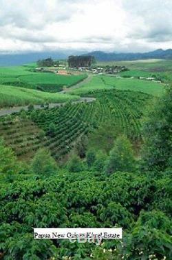 Up To 100 lbs Papua New Guinea Organic Estate Fresh Crop, Green/Raw Coffee Beans