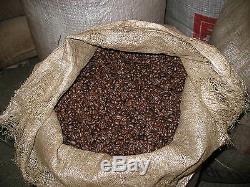Up To 100 lbs Papua New Guinea Organic Estate Fresh Crop, Green/Raw Coffee Beans