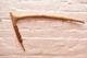 Vintage Carved Wood Adze Axe Weapon Highlands Papua New Guinea Png Tool 23