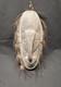Vintage Papua New Guinea Sepik River Mask Wood Woven Rattan Feathers Tribal Art