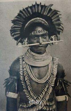 Wow! Papua New Guinea Ritual 5 Shell Bracelet, 4 1900s