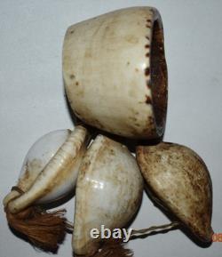 Wow! Papua New Guinea Ritual Shell Money/armband, 7 1900s